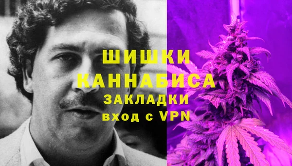 стаф Снежногорск