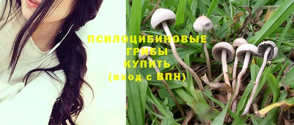 мяу мяу мука Слюдянка
