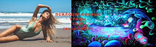 мяу мяу мука Слюдянка